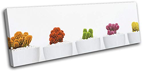Bold Bloc Design - Cactus Modern Minimal Nature Floral 90x30cm Single Caja de Lamina de Arte Lienzo Enmarcado Foto del Colgante de Pared Listo para Colgar Canvas Print RC-8996(00B)-SG31-LO-A