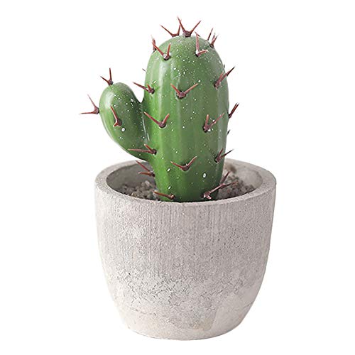 Cratone Plantas Artificiales con Maceta Plástico Cactus Macetas Cerámica para Decoración del Hogar y la Oficina