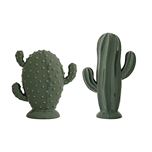 Bloomingville Juego de 2 cactus decorativos