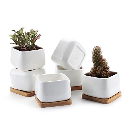 ComSaf 10CM Ceramic Succulent Plant Pot Cactus Planter Window Box with Tray White - Small Square Pack of 6, Desktop Windowsill Office Decoration Birthday Wedding for Garden