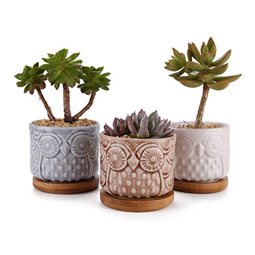 - Mini macetas para Cactus Maceteros cerámica Blanca Maceteros Decorativos Pack de 2 14-12 cm diámetro bonsáis Macetas pequeñas - Macetas para suculentas 