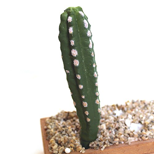 Realista Artificial Cactus Suculentas bola Peras espinosas falsas plantas de plástico Craft paisaje para el jardín Familia decoración de la oficina C