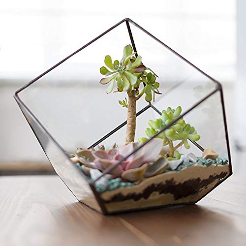 MyGift moderno artística planta de cristal cubo de cristal transparente caja terrario/decorativo vela, soporte para luz de té