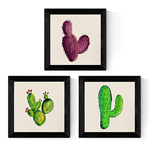 Pack de Tres láminas de Cactus. Posters Cuadrados con imágenes Estampadas. Dale un Toque Verde a tu hogar. Láminas de Cactus para enmarcar. Papel 250 Gramos