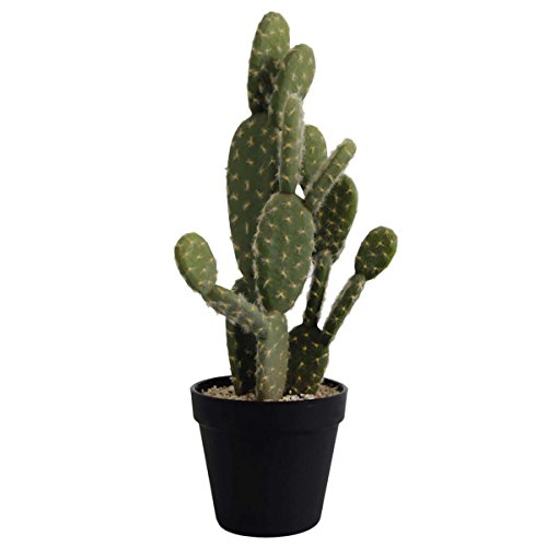 ASA Artificial Cactus Plástico, Verde, 14 x 14 x 41 cm