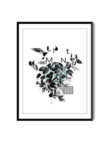 Láminas para Enmarcar para Cuadros Estilo Nórdico | Poster de Plantas Blanco y Negro | Mint | Varios Tamaños (20 x 30 cm)