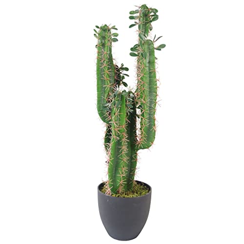 Leaf Hoja 75 cm Premium Cactus Artificial con Olla