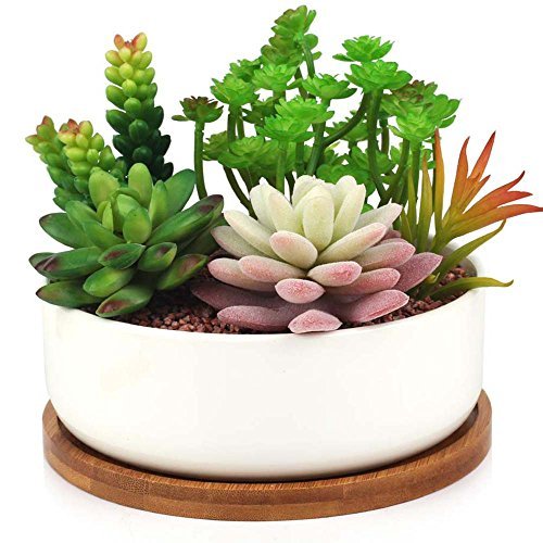 Macetero moderno de cerámica Innoter para suculentas o cactus, color blanco, con bandeja de bambú, Pattern 1
