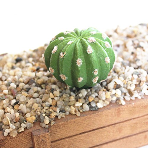 Realista Artificial Cactus Suculentas bola Peras espinosas falsas plantas de plástico Craft paisaje para el jardín Familia decoración de la oficina B