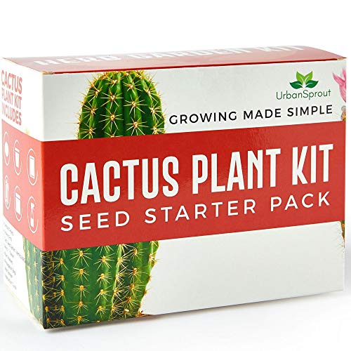 Kit para el Cactus – Fai crescere Le Tue Plantas de Cactus al cerrado – Un regalo para el Jardinería Inusuale – semini, tarros, Terra para el Cactus
