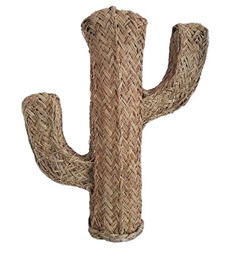 OkrëShop Cactus Esparto 54 cm