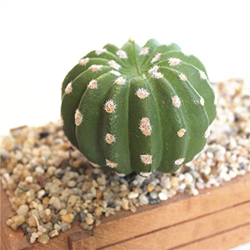 Realista Artificial Cactus Suculentas bola Peras espinosas falsas plantas de plástico Craft paisaje Para Office Family Garden Decor Un