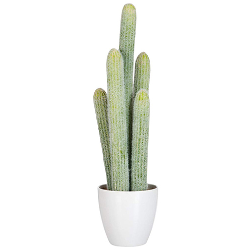ESPECIAL SAN VALENTIN Planta Artificial Cactus